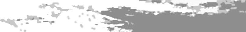 tsl-header-image